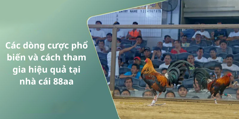 Các dòng cược phổ biến và cách tham gia hiệu quả tại nhà cái 88aa