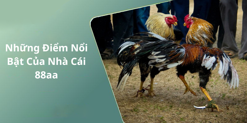 Những Điểm Nổi Bật Của Nhà Cái 88aa
