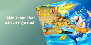 Chiến Thuật Chơi Bắn Cá Hiệu Quả