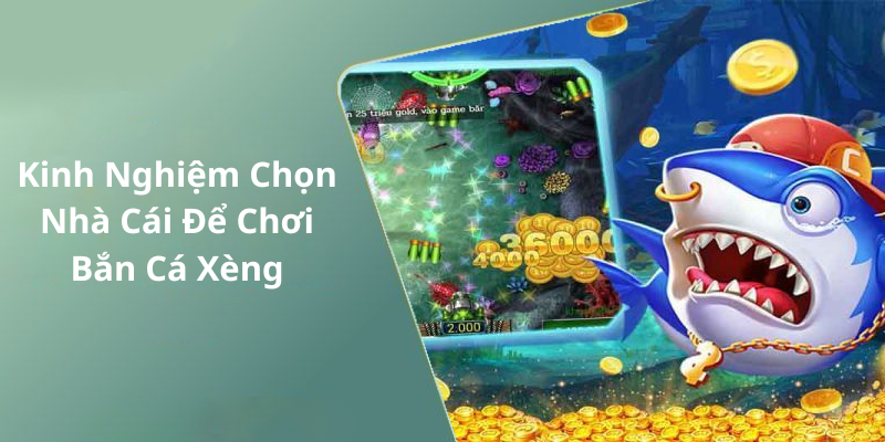 Kinh Nghiệm Chọn Nhà Cái Để Chơi Bắn Cá Xèng