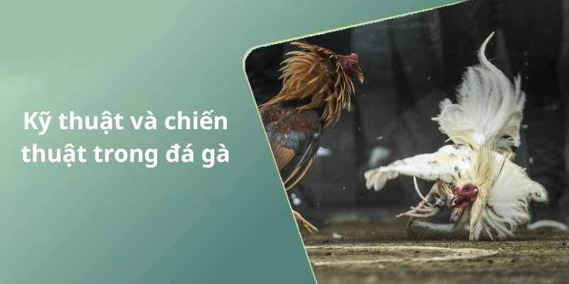 Kỹ thuật và chiến thuật trong đá gà