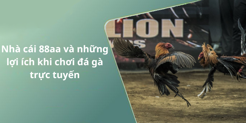 Nhà cái 88aa và những lợi ích khi chơi đá gà trực tuyến