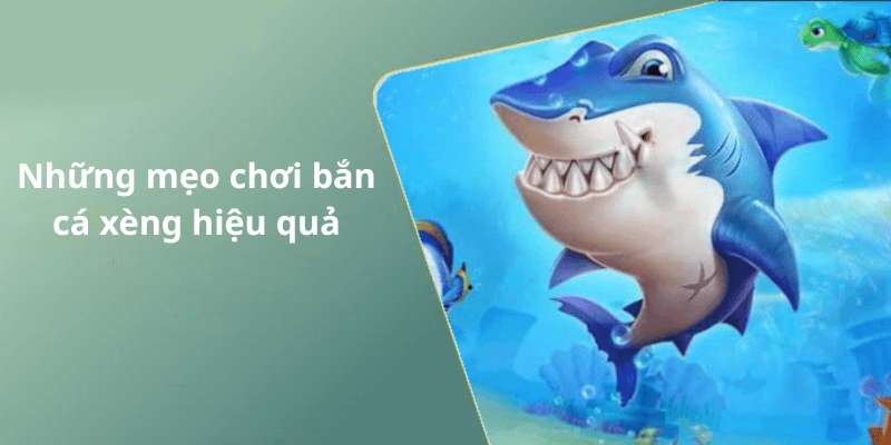 Những mẹo chơi bắn cá xèng hiệu quả