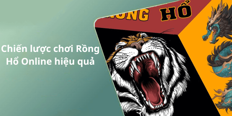 Chiến lược chơi Rồng Hổ Online hiệu quả