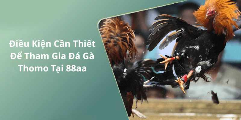 Điều Kiện Cần Thiết Để Tham Gia Đá Gà Thomo Tại 88aa