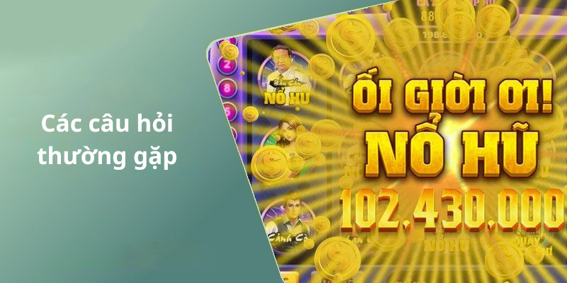 Các câu hỏi thường gặp
