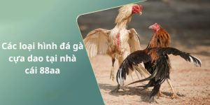 Các loại hình đá gà cựa dao tại nhà cái 88aa
