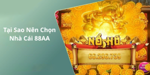 Tại Sao Nên Chọn Nhà Cái 88AA